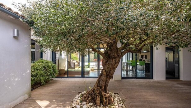 A tree in a courtyard with a wooden deck, surrounded by a building with glass doors and a modern interior visible through the doors. - Calm'ré - Villa in a quiet area for family vacation (Sainte-Marie-de-Ré)
