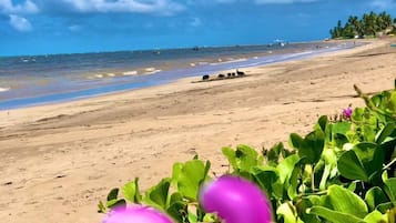 Na praia