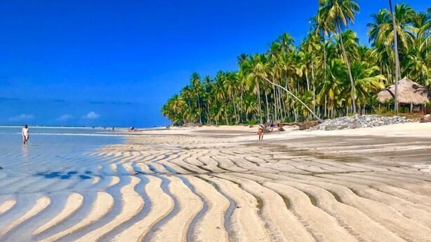 A beach with clear blue water, a sandy shore with visible ripples, and palm trees in the background. - Condominio Praias de Maragogi (Maragogi)
