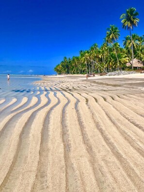 Una playa con agua azul cristalina, una orilla arenosa con ondulaciones visibles y palmeras al fondo.