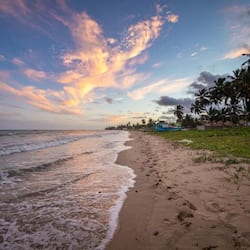 On the beach