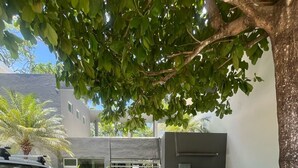 Zona d'aparcament amb un cotxe blanc, l'entrada d'un edifici i un arbre que ofereix ombra.