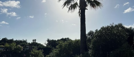 室外游泳池