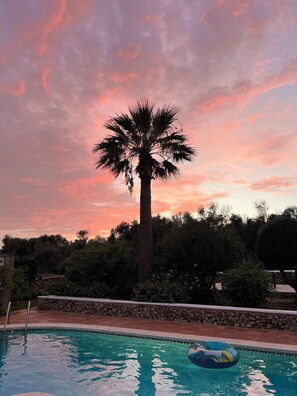 Une piscine avec un palmier et un ciel au coucher du soleil.