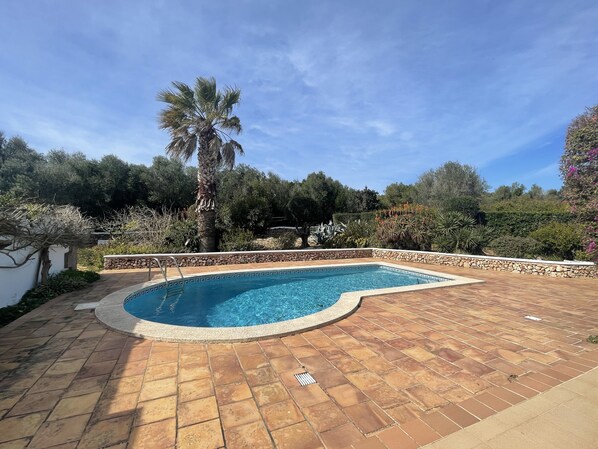 A swimming pool with a stone border and a palm tree in the background.