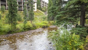 Un río serpentea por una zona boscosa, con un puente y edificios al fondo.
