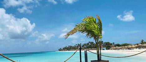 بالقرب من الشاطئ، كراسي للتشمس، مناشف للشاطئ