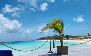 A wooden deck with a rope barrier, a potted palm tree, and a view of a beach with clear turquoise water and a clear sky.