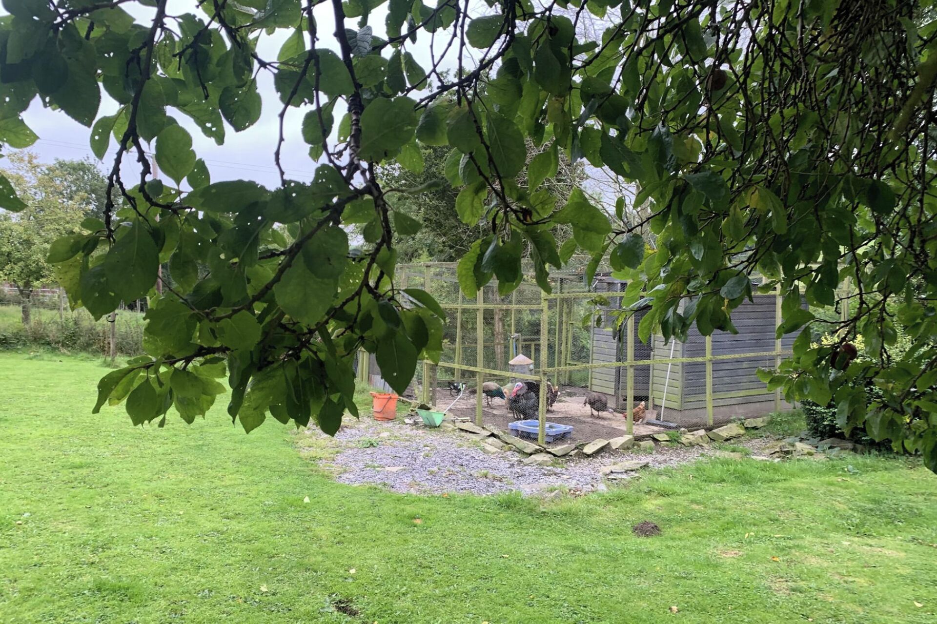 Khuôn viên nơi lưu trú