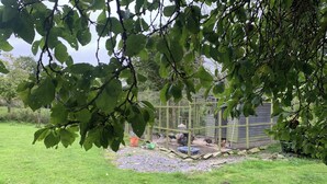 Een omheind buitengebied met een houten constructie, mogelijk een tuinhuis, en een gazon.