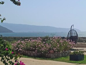 المنطقة المحيطة بالمنشأة