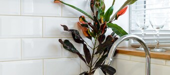 Central Boutique Stodio - Ramat gan