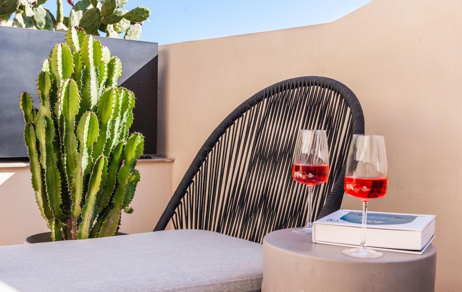 Un coin salon avec un fauteuil confortable, une table sur laquelle reposent deux verres de vin rouge, un livre et une grande plante en pot, un cactus.