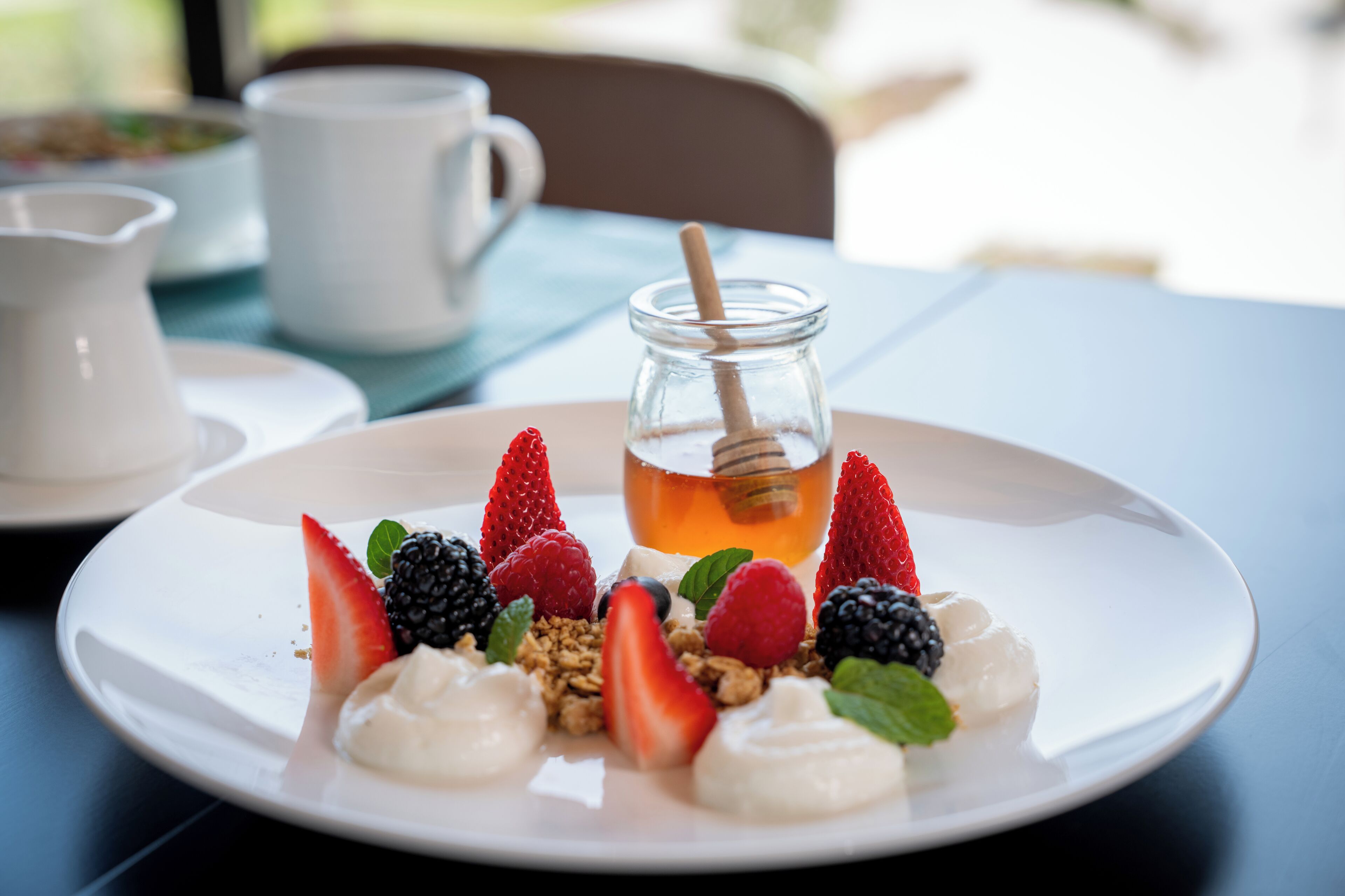 A breakfast plate with yogurt, berries, granola, and a honey dipper.