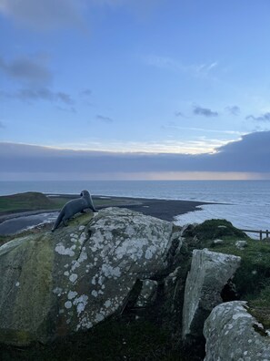 Huisje | Strand