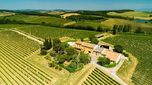 South of France: Luxury Stay on a Vineyard. Sleeps 6. Private Pool.