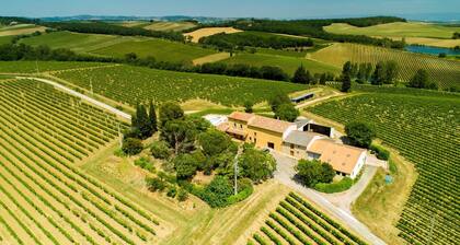 South of France: Luxury Stay on a Vineyard. Sleeps 6. Private Pool.