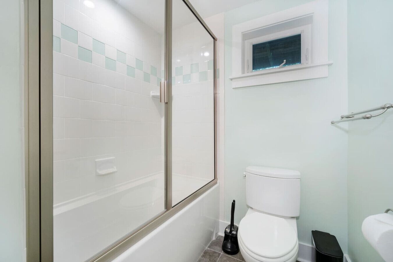Combined shower/tub, hair dryer