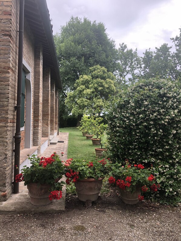 Une cour avec un bâtiment en briques, des pots de fleurs rouges et une haie.