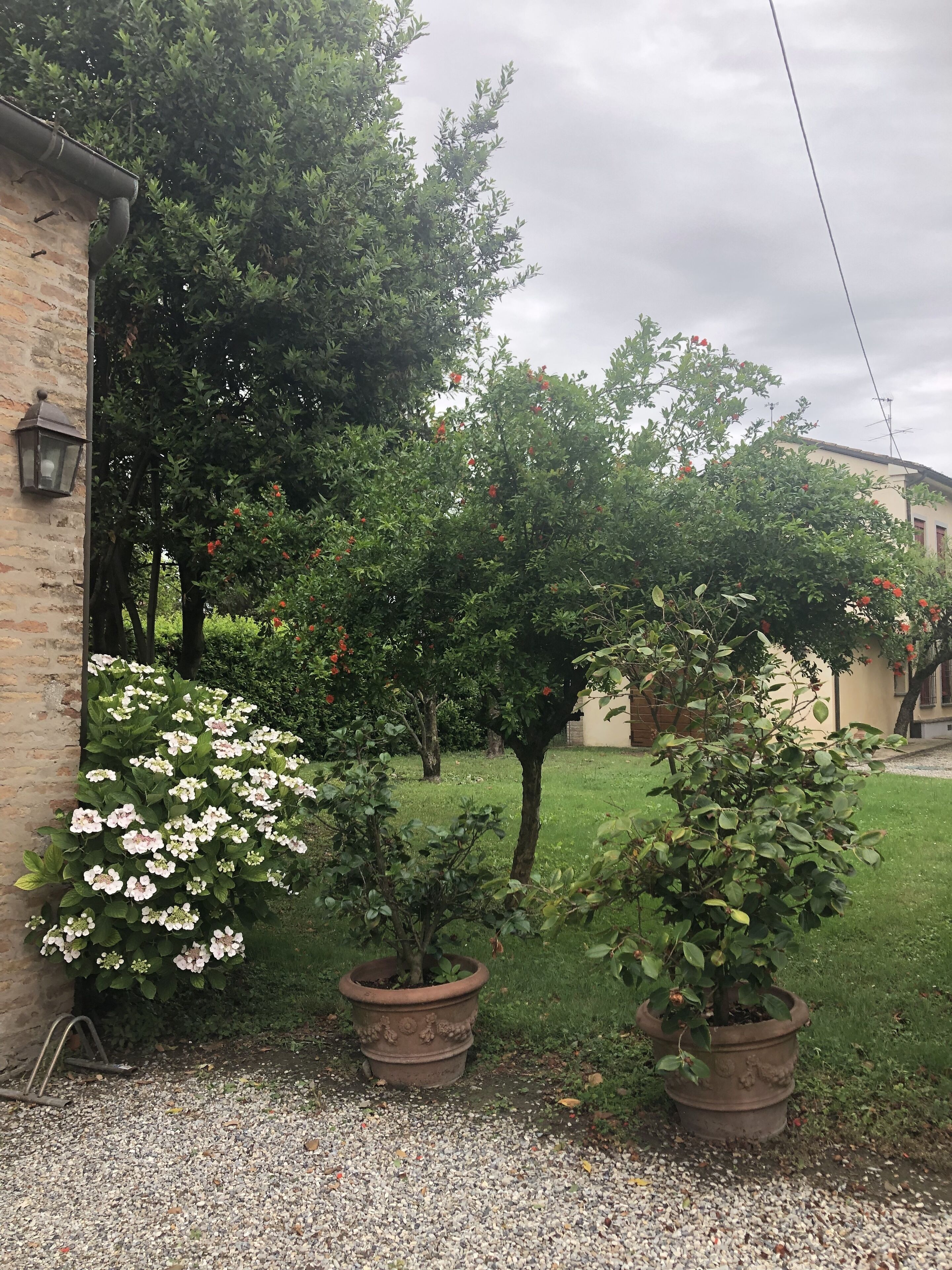 Parco della struttura