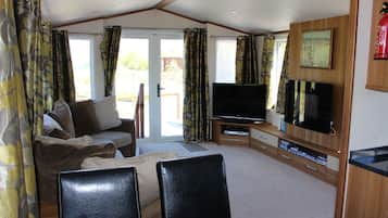 Smart TV, chimenea, reproductor de DVD y libros