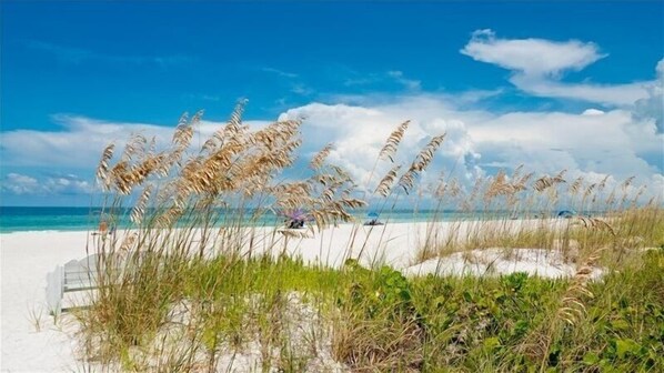 Imagen sin descripción, 1 de 50, botón