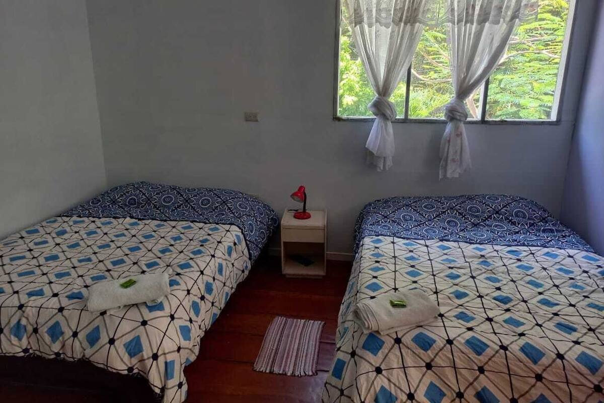 Basic Room | Down comforters, bed sheets