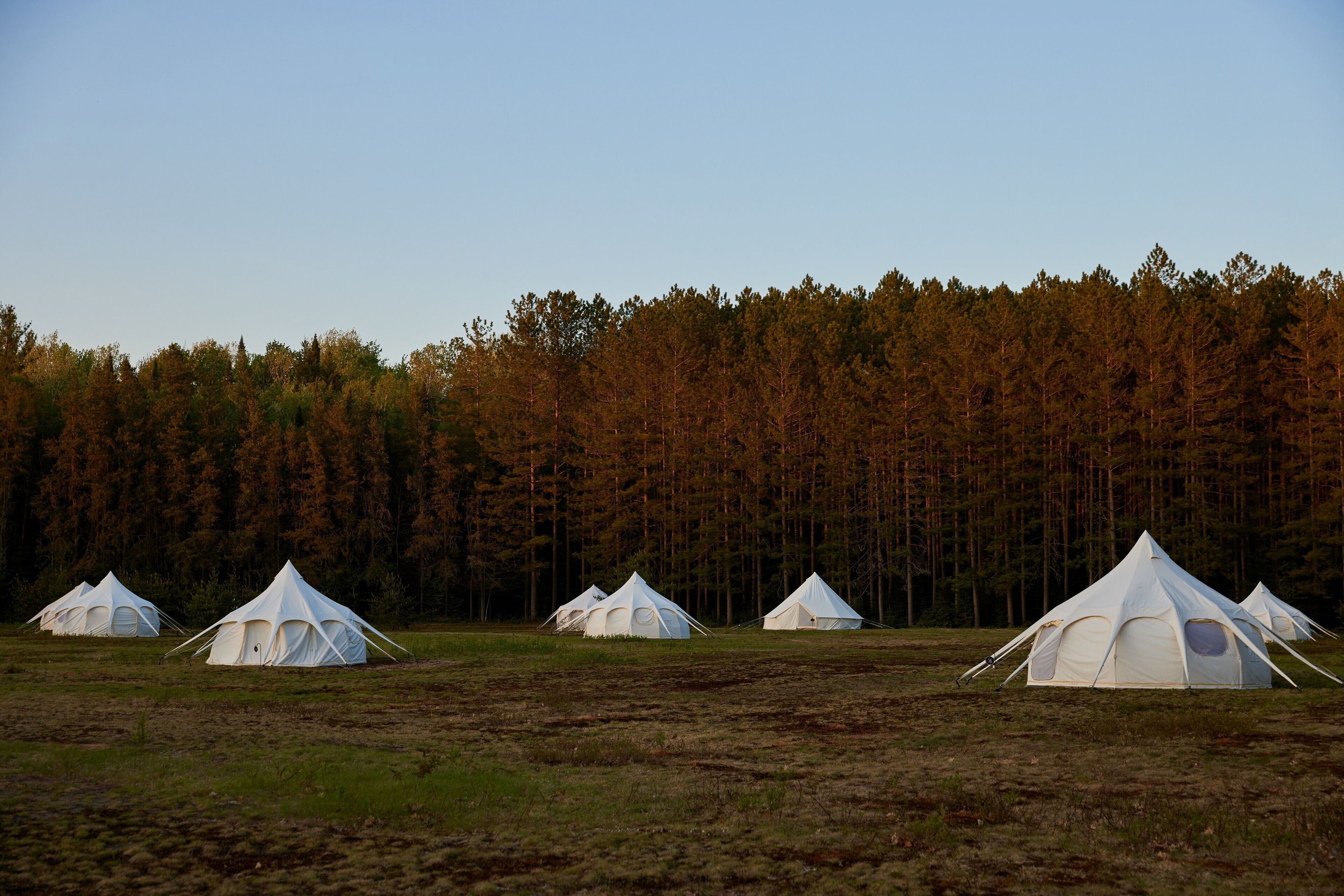 A row of white tents in a grassy field with a forest in the background.