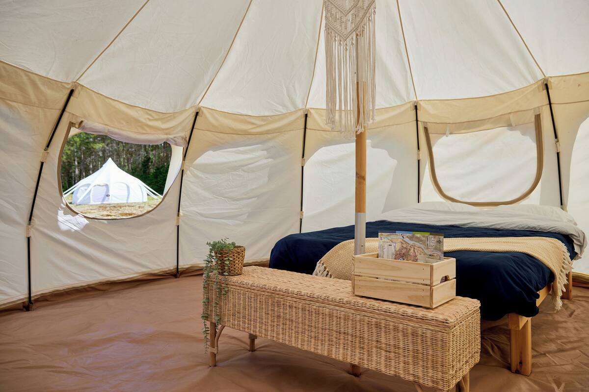 Una carpa con una cama, un banco de mimbre y una pequeña mesa con una planta y una caja.