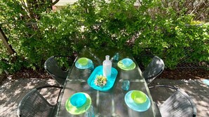 An outdoor table set with green and blue plates, a white bottle, and a small vase with flowers. - ★6B Modern Bungalow★King Bed/WiFi✔Long Stays★Clean (Edmonton)
