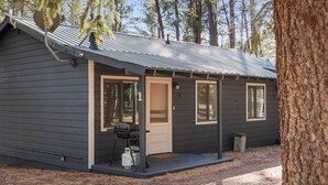 A small cabin with a metal roof, a porch, and a grill outside. - Aspen Cabin 1 (Greer)