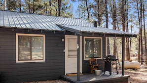 A small cabin with a metal roof, two windows with blinds, a porch with a grill, and a propane tank nearby. - Aspen Cabin 2 (Greer)