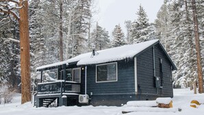 A cabin with a porch and a chimney, surrounded by snow-covered trees. - Cowgirl Cabin (Aspen 3) (Greer)