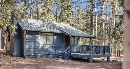 Aspen Pine Retreat (4)