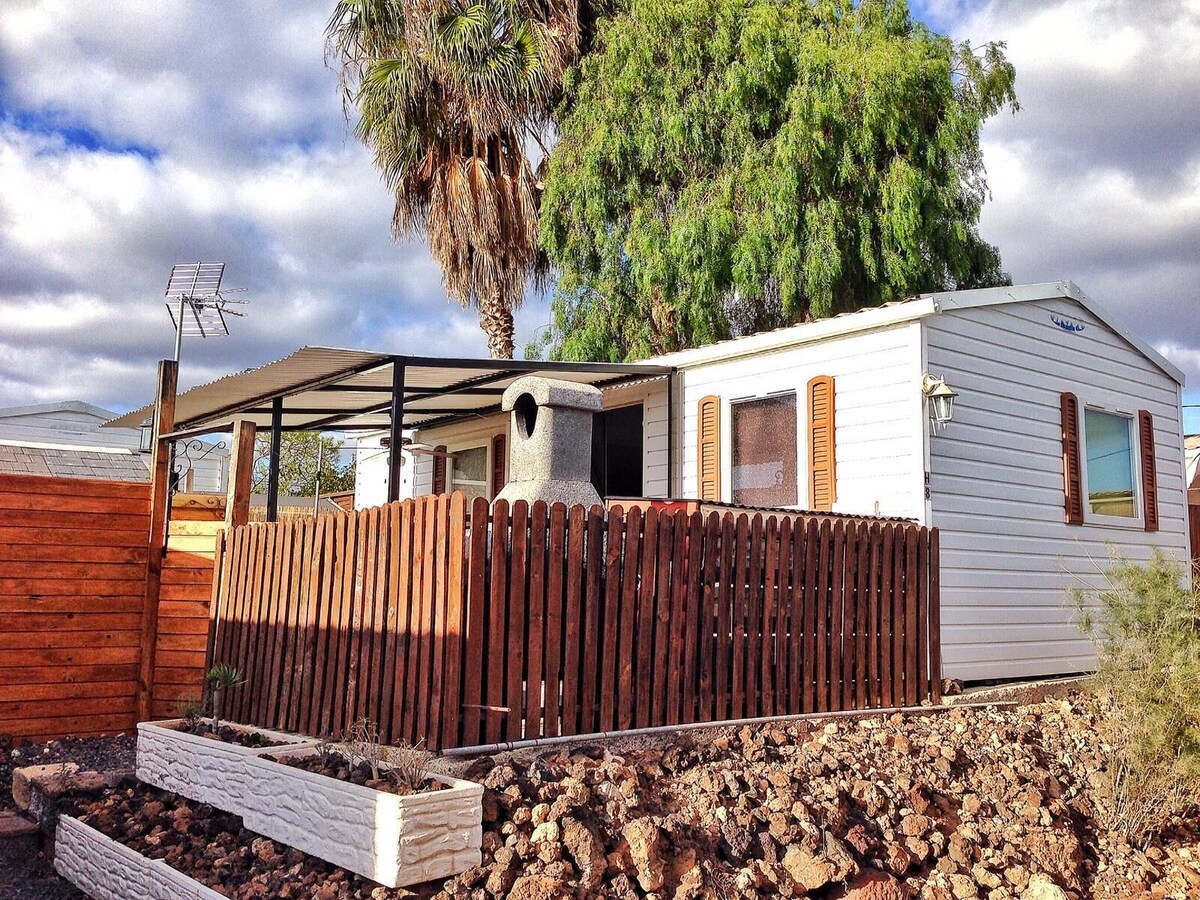 Imagen de perfil del propietario o de la propietaria