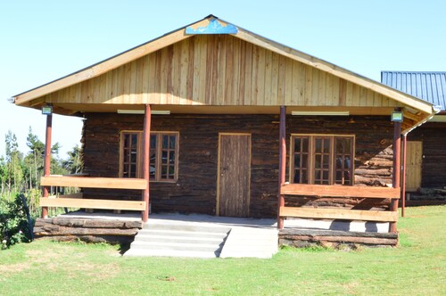 The Wonky House