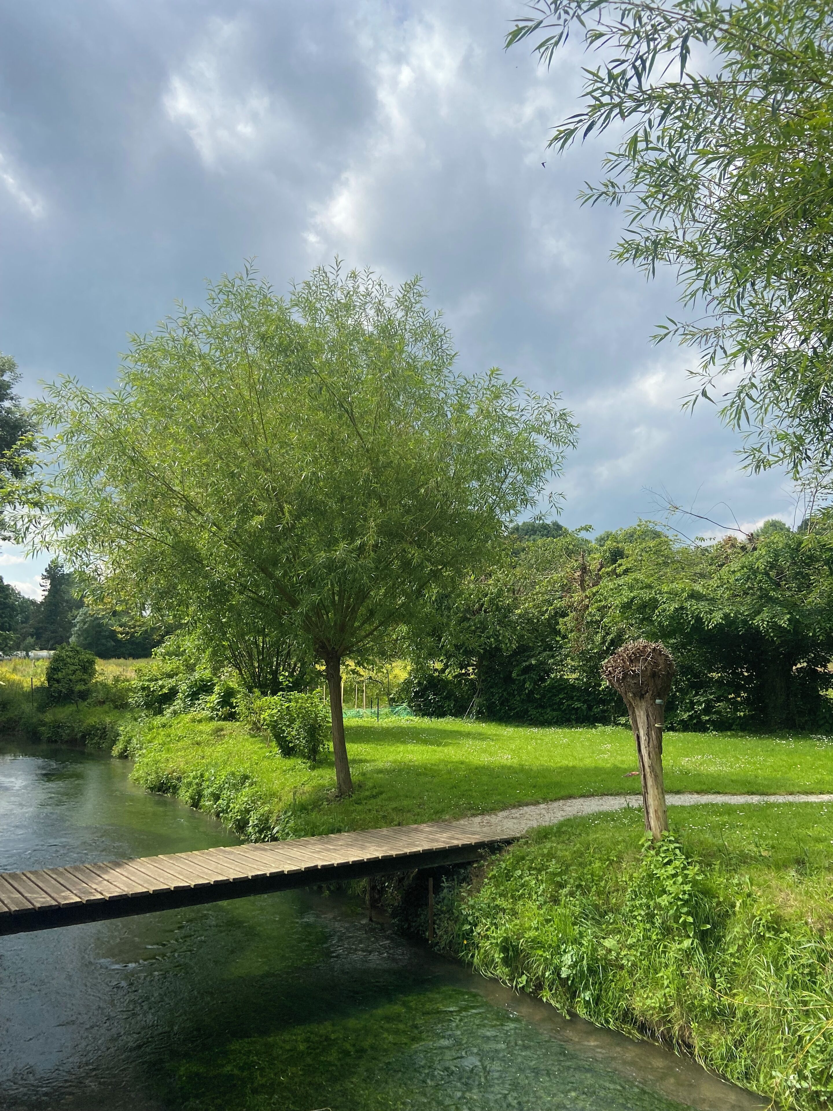 Un pont en bois enjambant une rivière paisible, entouré d’une végétation luxuriante et d’arbres.