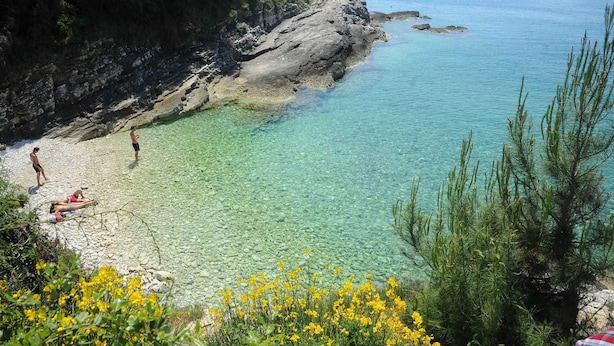 Eine Küstenlandschaft mit klarem Wasser, steilen Felsen und gelben Blumen im Vordergrund.
