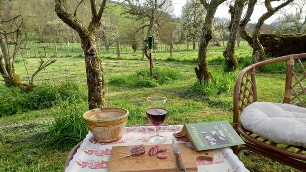 An outdoor picnic setup with a wicker chair, a table with a floral tablecloth, a bowl, a glass of red wine, a book, and sliced salami on a cutting board.