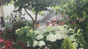 Un jardin agrémenté de diverses plantes et fleurs en pot, notamment des hortensias blancs et des fleurs roses, sous une pergola.