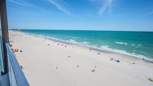 Ein Strand mit blauem Himmel und ruhigem Wasser.