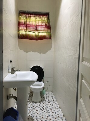 Shower, hair dryer, toilet paper