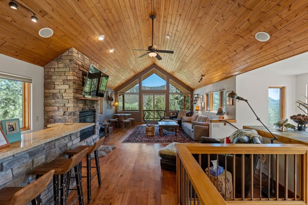 TV, fireplace, DVD player, books