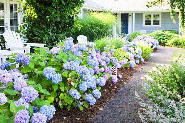 A garden with hydrangea bushes, a pathway, and a white house with a porch. - Harbor Getaway Unit -1 (Harwich)
