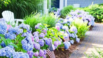 A pathway lined with hydrangea bushes and American flags, leading to a house with a porch.