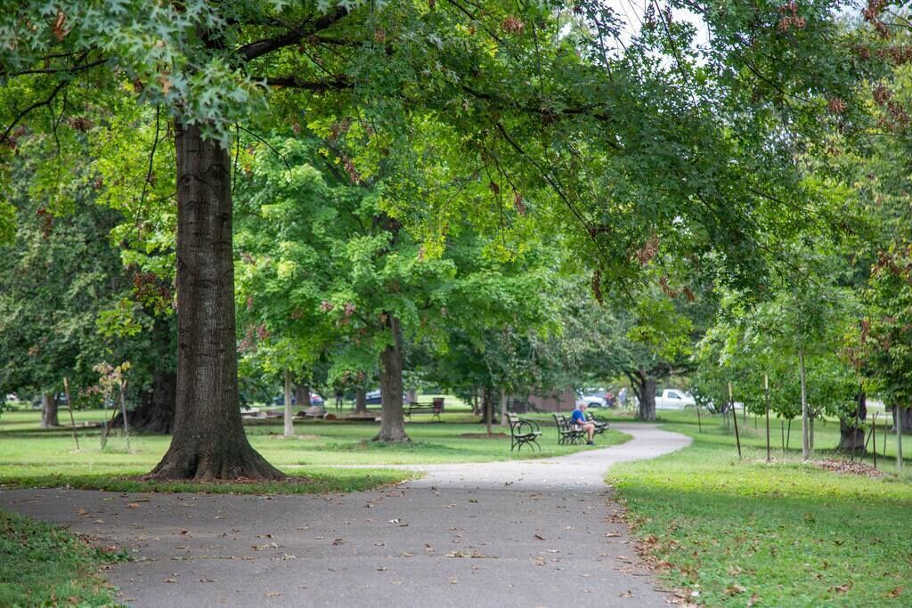 Un parque con un camino pavimentado, bancos y árboles.