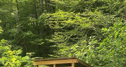 Private Waterfall Campsite!