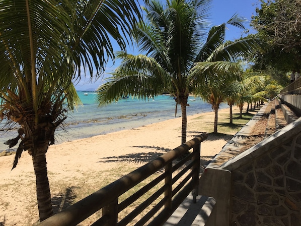 A beach with palm trees, a stone wall, and a wooden railing.