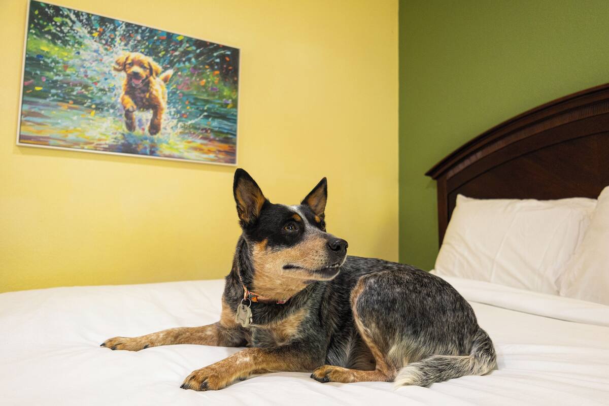 A dog lying on a bed with a painting of a dog in the background.