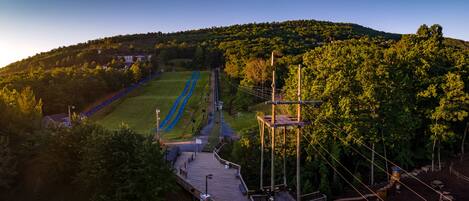 A scenic view of a park with a wooden boardwalk, a rope bridge, and a grassy area with blue pathways.
